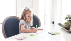 Reolink E1 3MP Binnen IP Camera -Elektronische Camera Winkel 10200 reolink e1 3mp binnen ip camera