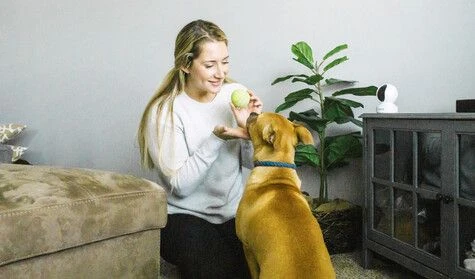 Reolink E1 Zoom 5MP Binnen IP Camera + 64 GB SD-kaart Reolink E1 Zoom 5MP Binnen IP Camera + 64 GB SD-kaart -Elektronische Camera Winkel 10647 reolink e1 zoom 5mp binnen ip camera 64 gb sd kaart