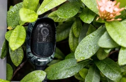 Reolink Argus Skin Full Suit Wit -Elektronische Camera Winkel 7334 reolink argus skin full suit wit